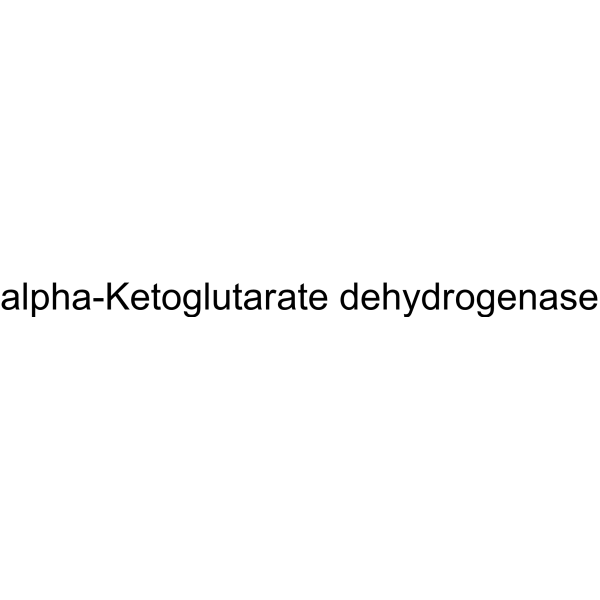 α-Ketoglutarate dehydrogenase 9031-02-1